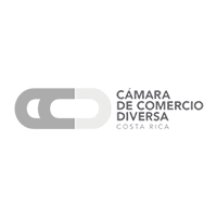 Camara de Comercio Dirversa Logo